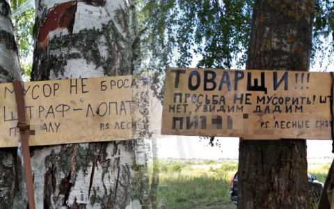 В лесах Владимирской области обнаружили послания эльфов и гномов