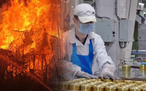 Новости минувшего дня: жуткая смерть дачника и зарплатное неравенство