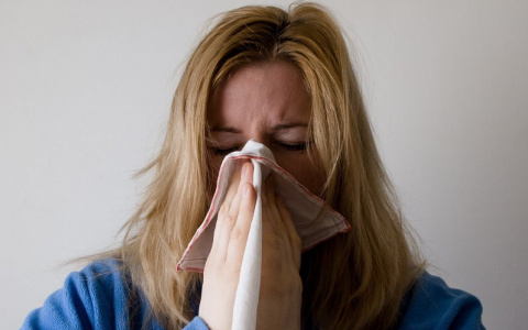 Кровь аллергиков. Носители этой группы крови чаще страдают от аллергии