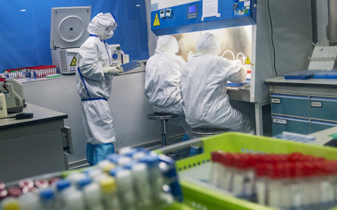 Учёные бьют тревогу: обнаружен новый и более опасный штамм коронавируса