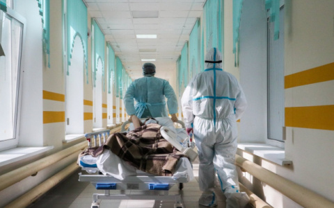 Во Владимирской области 200 человек заразились COVID-19 за сутки