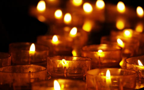 Во Владимирской области смертность за год выросла на треть