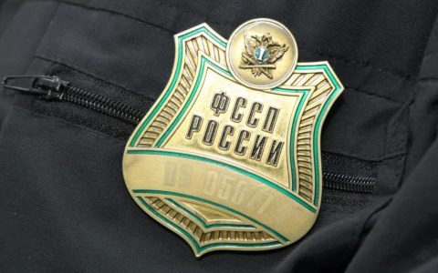 Казна Владимирской области крупно пополнилась за счёт алиментщиков