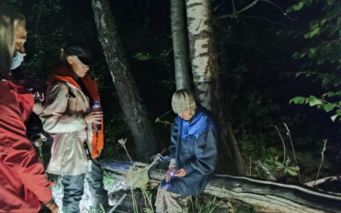 Пропавшую в Юрьев-Польском районе пенсионерку искали с помощью вертолёта