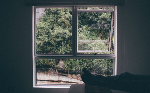 Мужчина хотел справить нужду в окно и вывалился со второго этажа