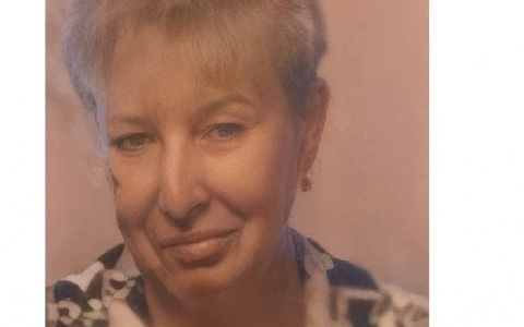 В лесах Владимирской области ищут пенсионерку с ведром