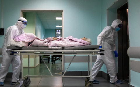 178 жителей Владимирской области заболели COVID-19 за сутки