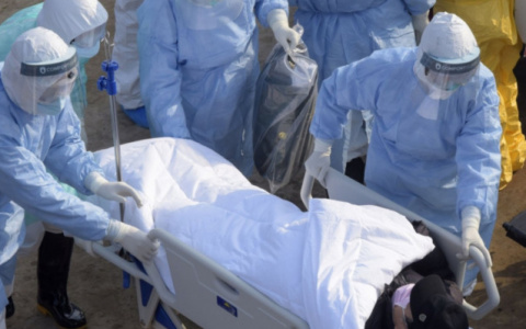 За сутки во Владимирской области 172 жителя заболели COVID-19