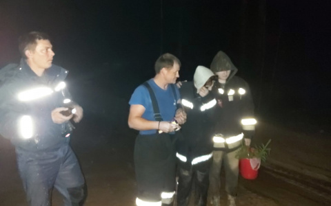 За несколько дней в лесах Владимирской области потерялись 9 человек