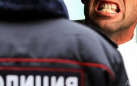 Житель Подмосковья укусил александровского полицейского