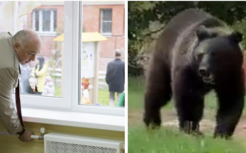 Для тех, кто пропустил: дата начала отопительного сезона и встреча с медведем