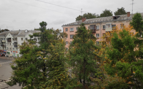 Уже этой ночью во Владимирской области возможны заморозки