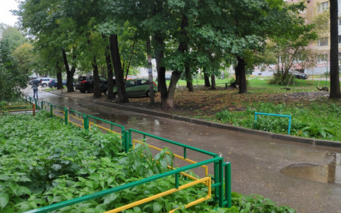 Конца и края нет: сколько во Владимире будет идти дождь?