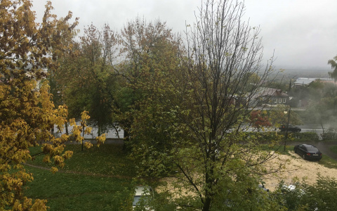 Ждать ли владимирцам в воскресный день сюрпризов погоды?