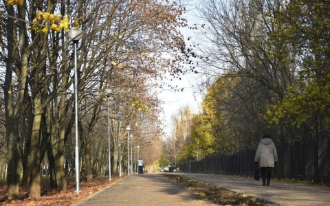 Стало известно, сколько солнечных дней ждёт владимирцев в октябре