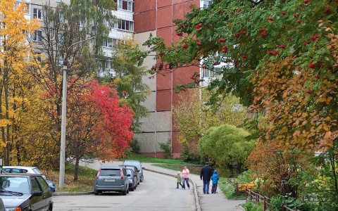 Синоптики поделились прогнозом погоды во Владимире на эти выходные