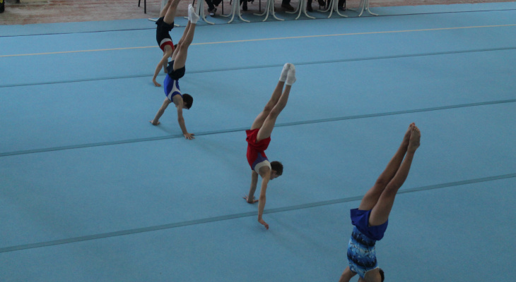 Во Владимире пройдут соревнования первенства ЦФО по спортивной гимнастике