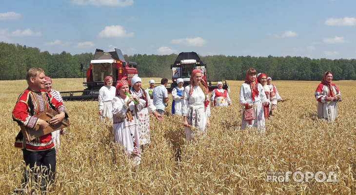 Судогодский район приглашает на «День поля»