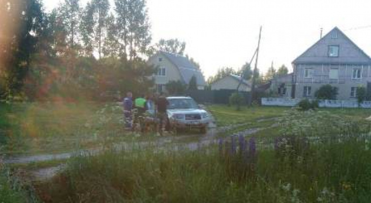 В Камешковском районе внедорожник вылетел с дороги