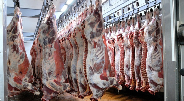 Производство мяса во Владимирской области резко снизилось