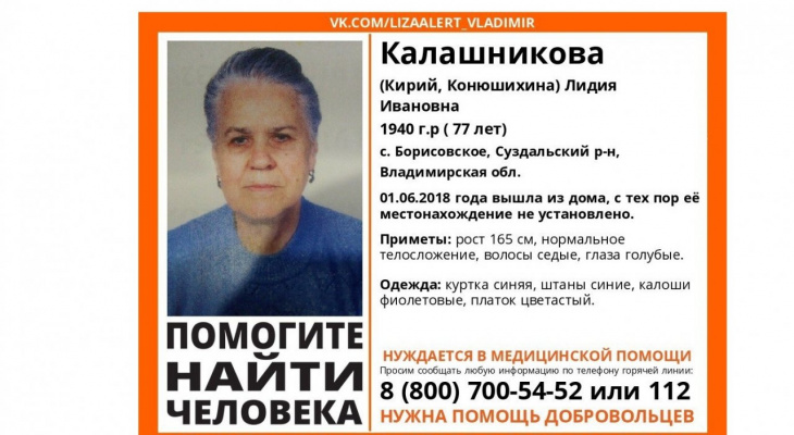 Владимирцев просят помочь в поисках пожилой женщины, пропавшей еще летом