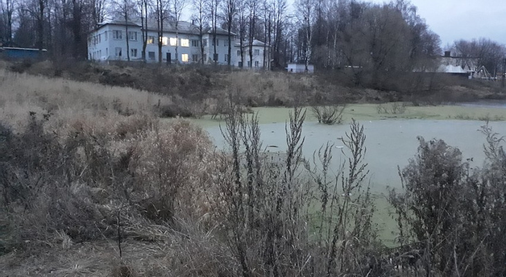 В Кольчугино девятилетний мальчик провалился под лед