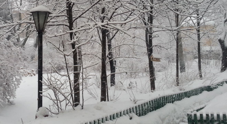 Сильный снегопад надвигается на Владимирскую область