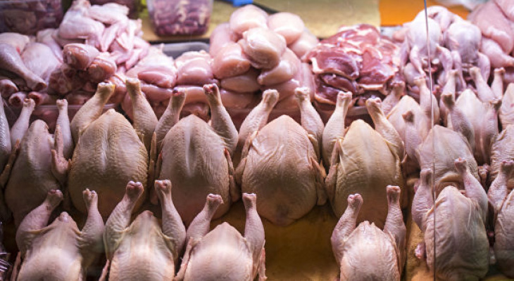 Куриное мясо во Владимирской области резко подорожало: насколько и почему Куриное мясо во Владимирской области резко подорожало: насколько и почему