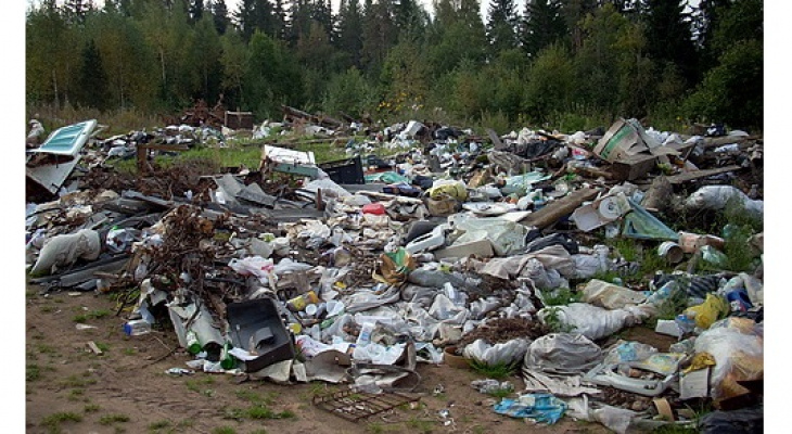 Во Владимирской области ликвидировали незаконную мусорную свалку