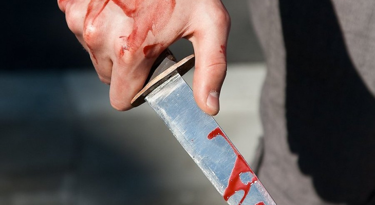 Житель Мурома напал с ножом на своего сына