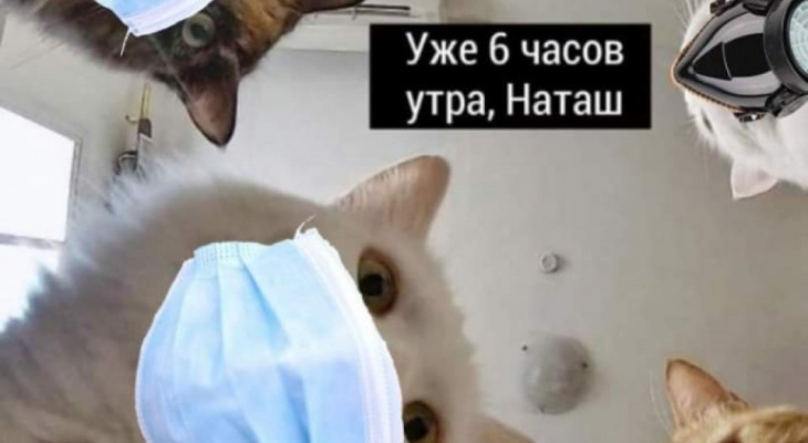 Мем кот взрывается. Кот взрывается. Кот которого взрывают Мем. Котик взрывается Мем. Мемы взорван интернет