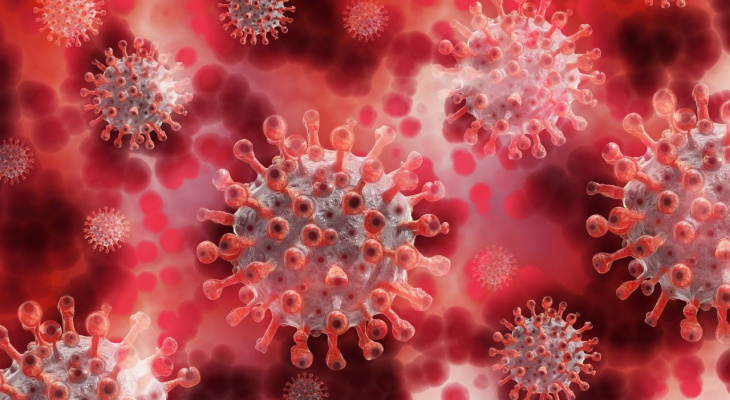 Во Владимирской области выявили еще 54 случая заболевания коронавирусом