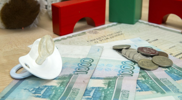 Владимирским семьям с детьми выплатили более полумиллиарда рублей