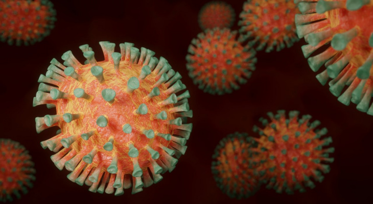 Во Владимирской области зафиксировано уже 88 смертей из-за коронавируса