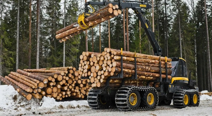 В Республике Коми владимирец похитил дорогую лесозаготовительную технику