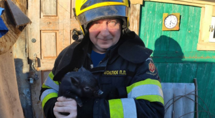 На пожаре в Красном Эхе спасли кролика, двух куриц и двух свиней