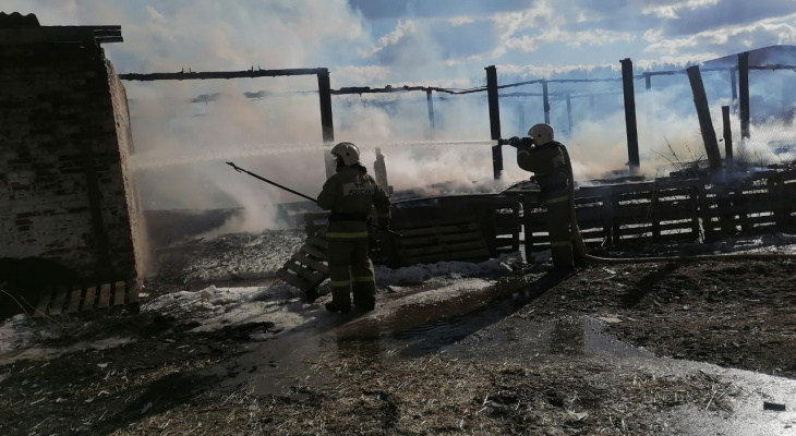 Во Владимирской области сгорела ещё одна животноводческая ферма