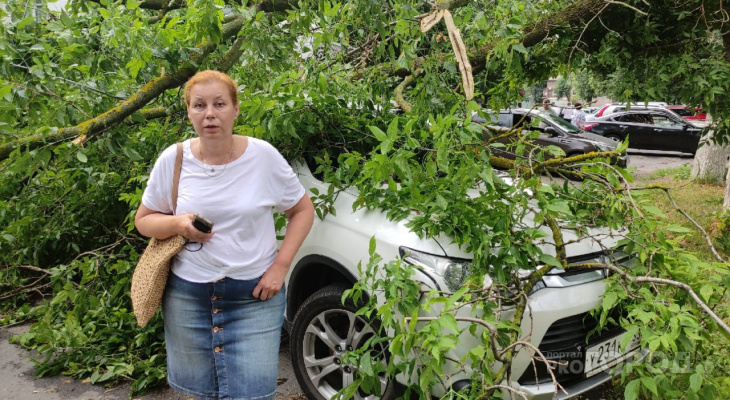 Во Владимире у областной стоматологии дерево упало на несколько машин