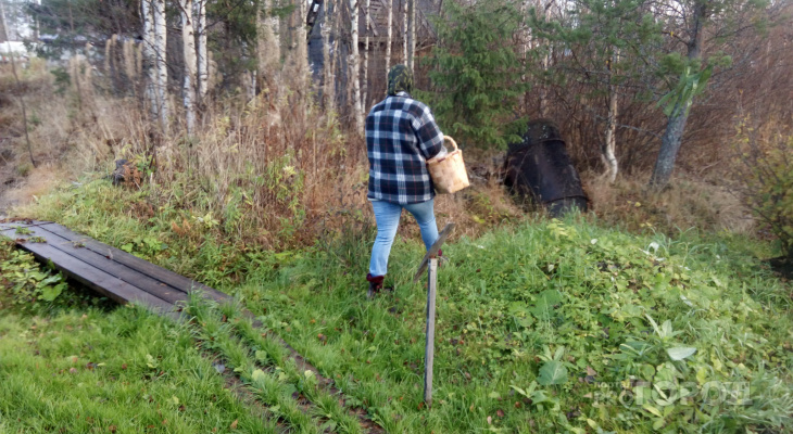 В лесу во Владимирской области грибники нашли труп мужчины