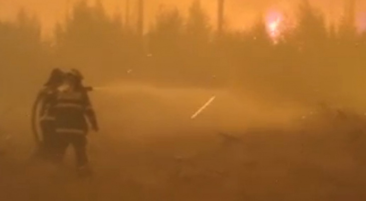 "Мы оказались в огненном кольце": владимирские пожарные о тушении заповедника в Мордовии