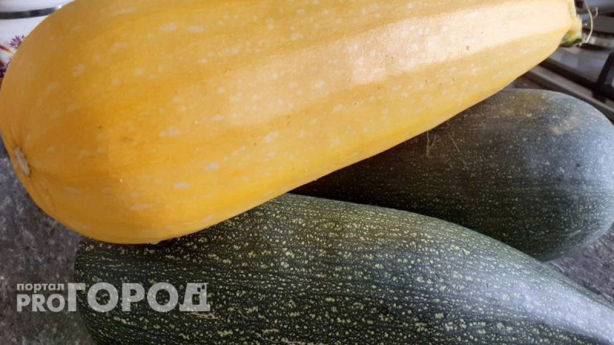 Кабачки будут плодоносить без остановки до морозов: в июле полейте их этим чудо-эликсиром
