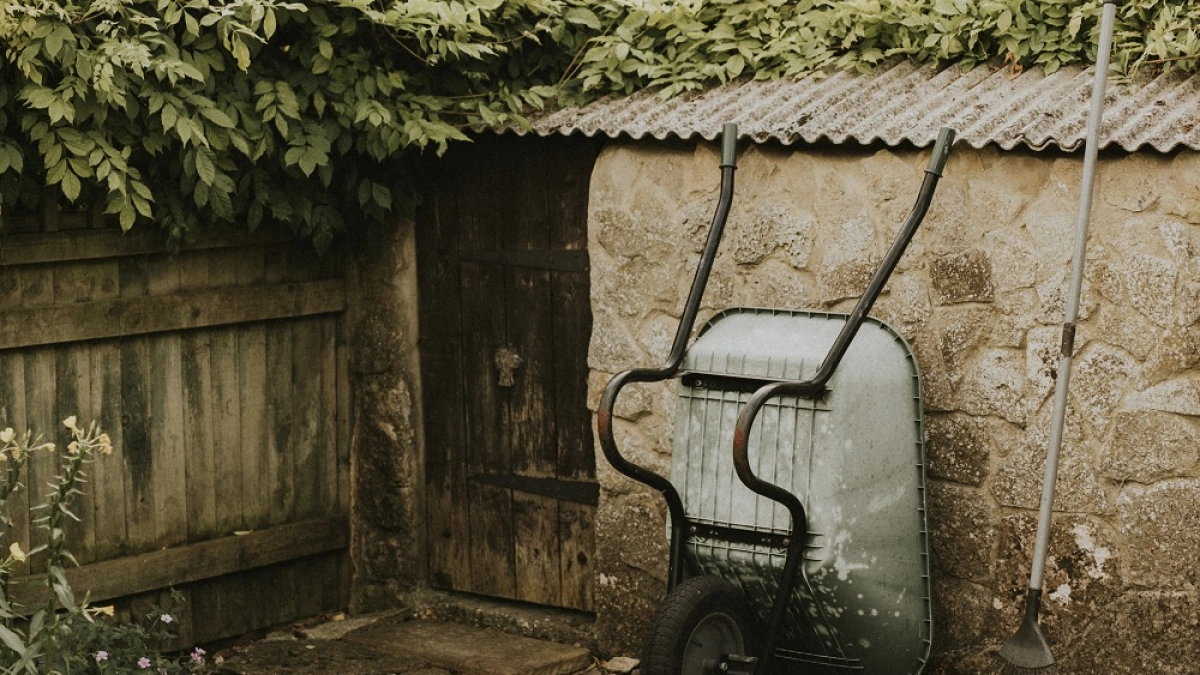 Если в погребе появилась сырость: 7 практичных методов борьбы с повышенной влажностью