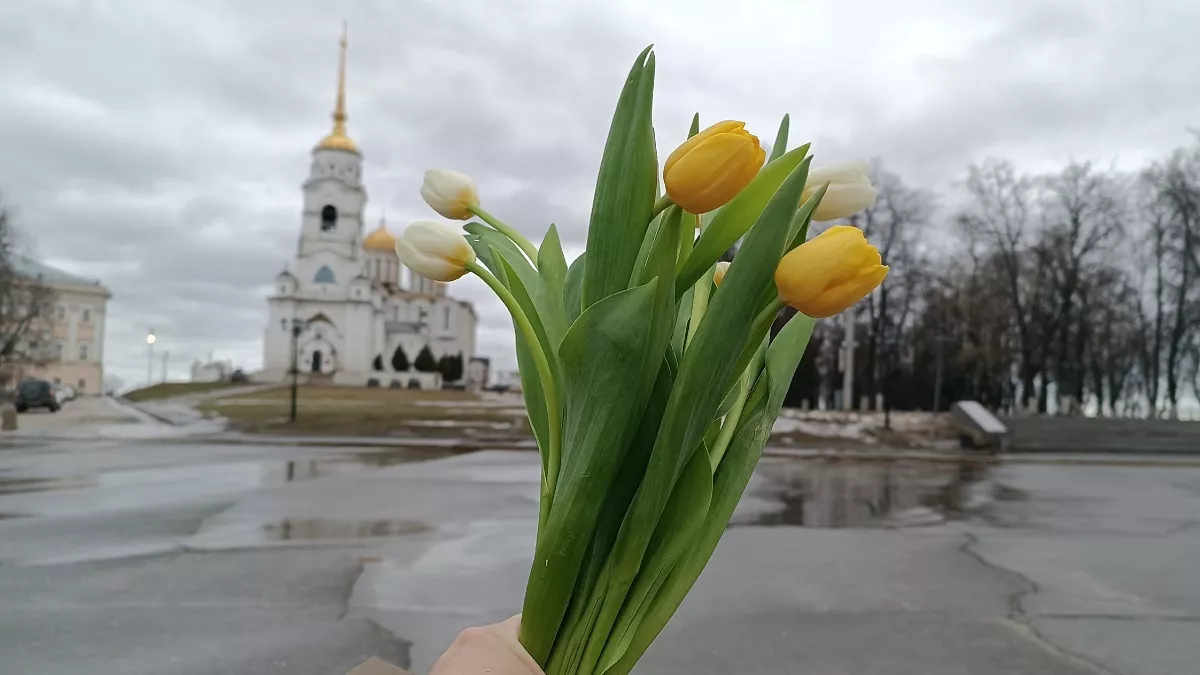 Точный гороскоп на март 2026 от Василисы Володиной: что звезды приготовили каждому знаку