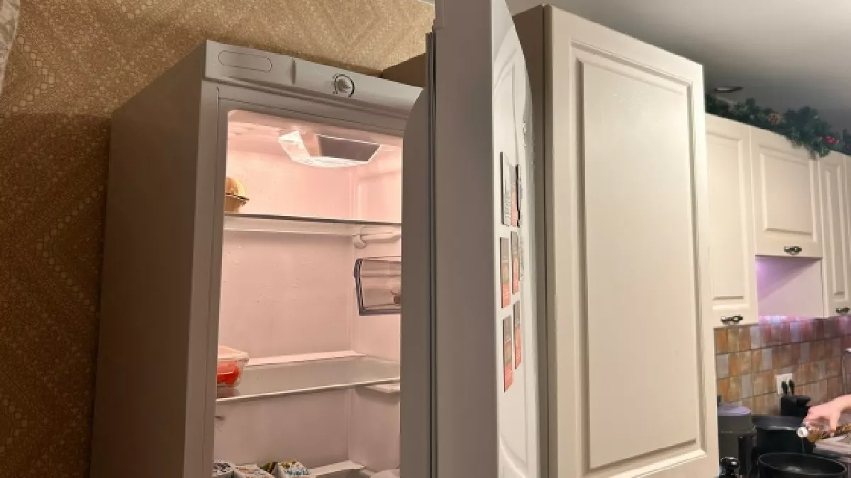 Как убрать неприятный запах в холодильнике - жаль, что не знала об этом способе раньше: лайфхак от опытной хозяйки