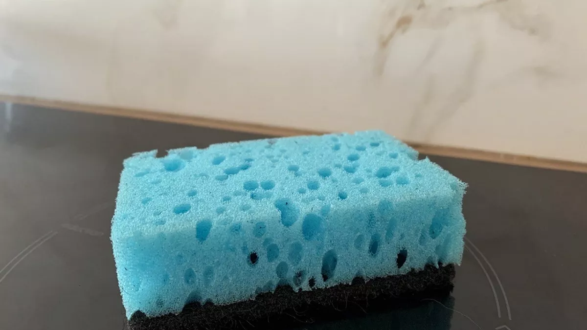 Зачем класть губку для посуды в холодильник: лайфхак, который продлевает свежесть продуктов