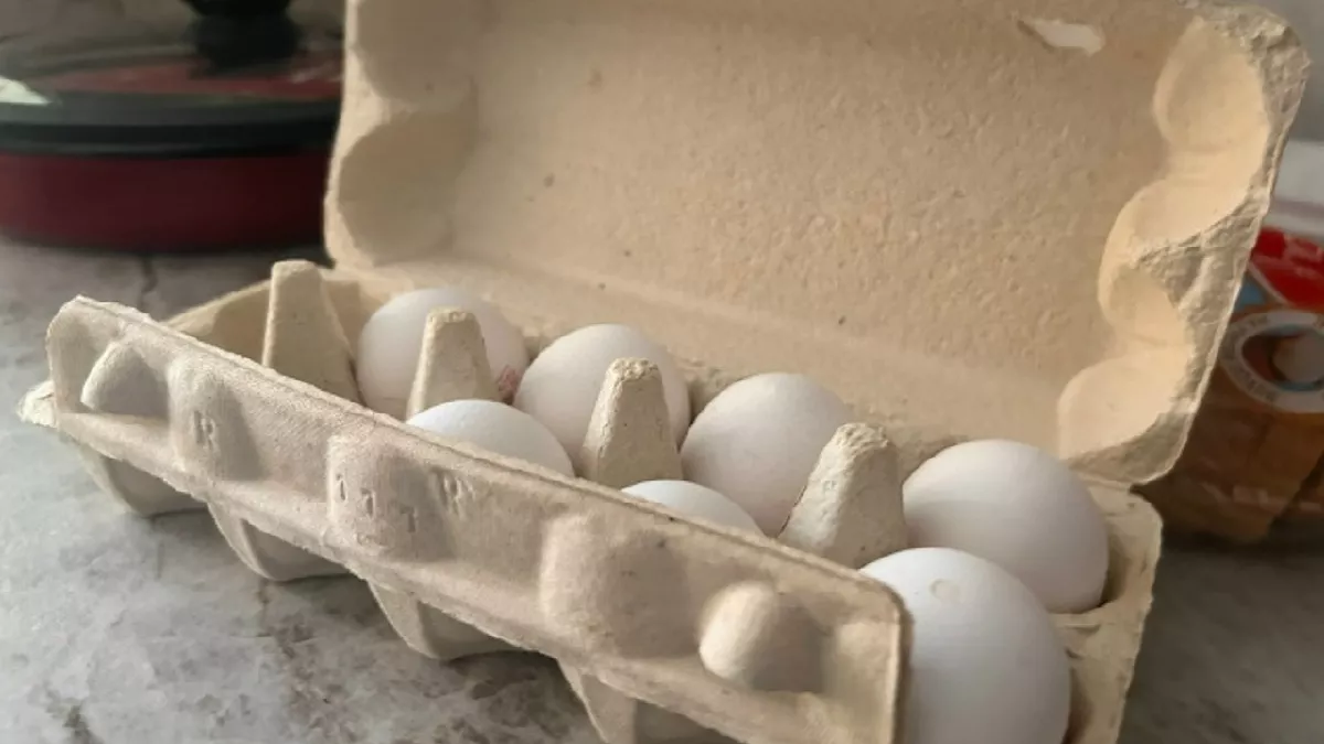 Почему работники птицефабрик не покупают яйца категории С0 в магазинах