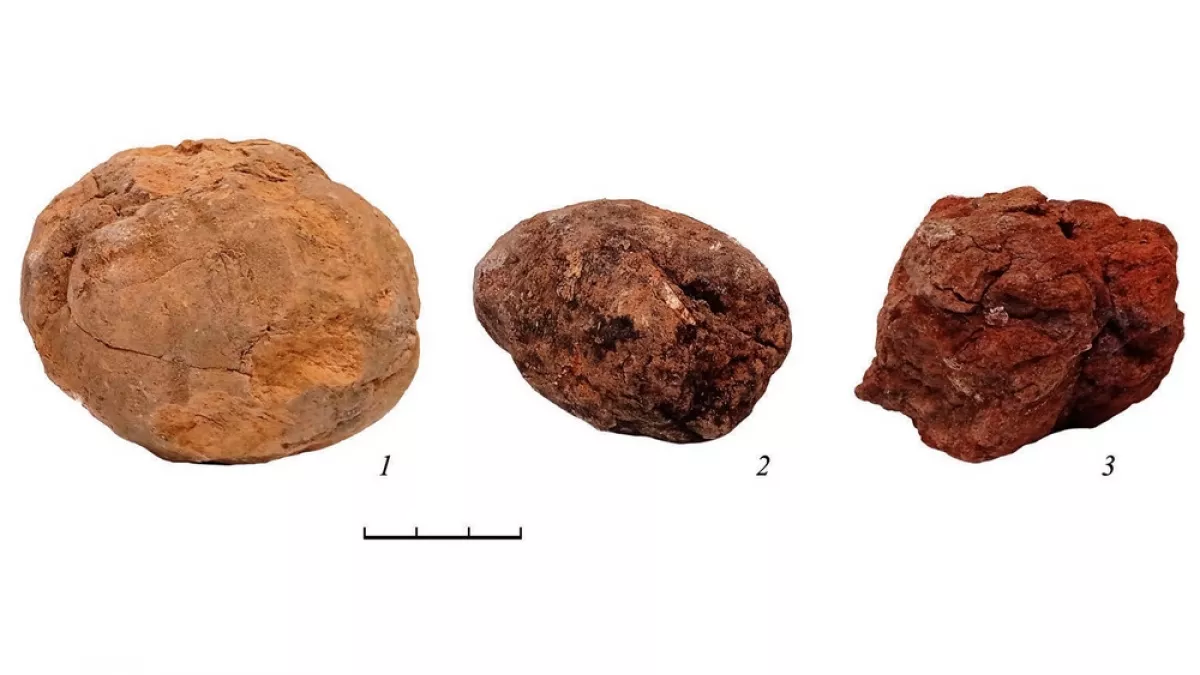 Ученые во Владимире описали найденные при раскопках Золотых ворот древние ядра