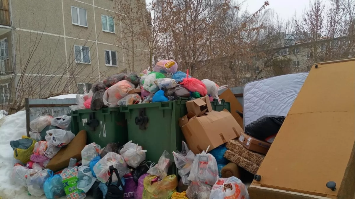 Двор превратился в помойку? Эксперты раскрыли, как добиться порядка - что нужно делать жильцам