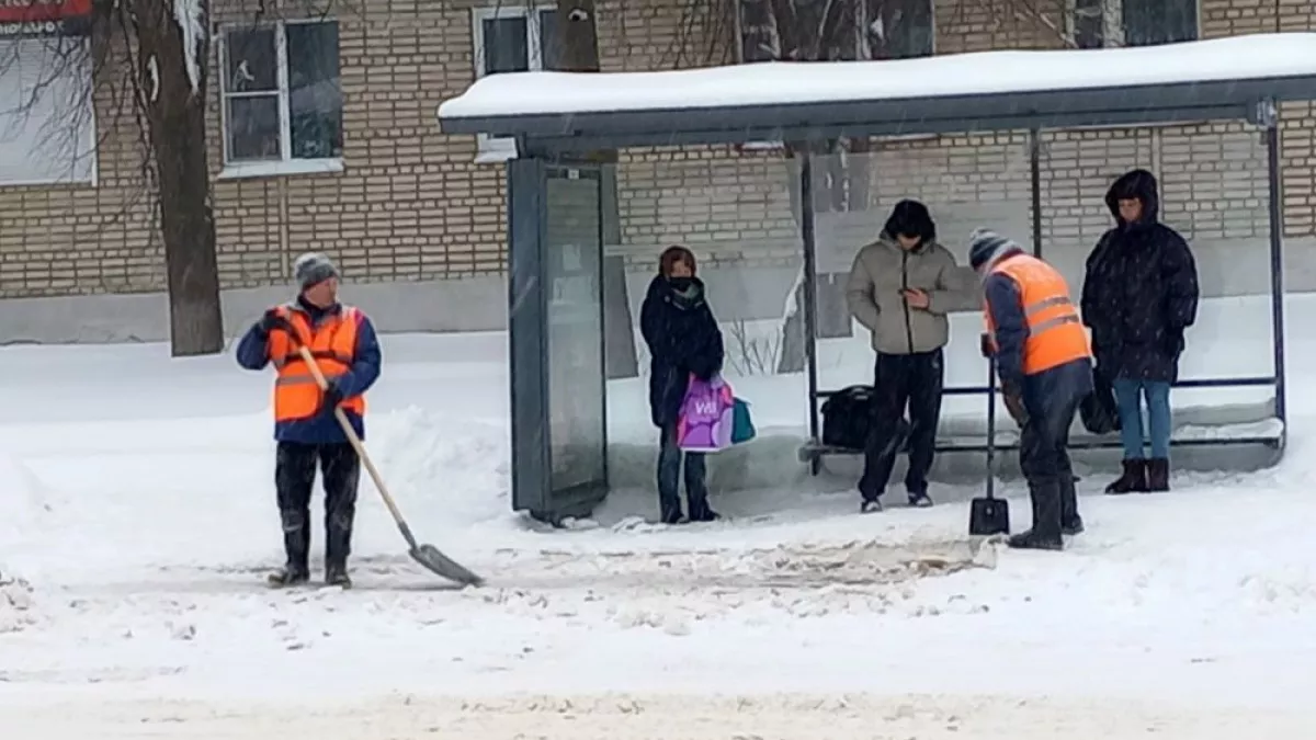 Мокрый снег может доставить владимирцам дополнительные хлопоты