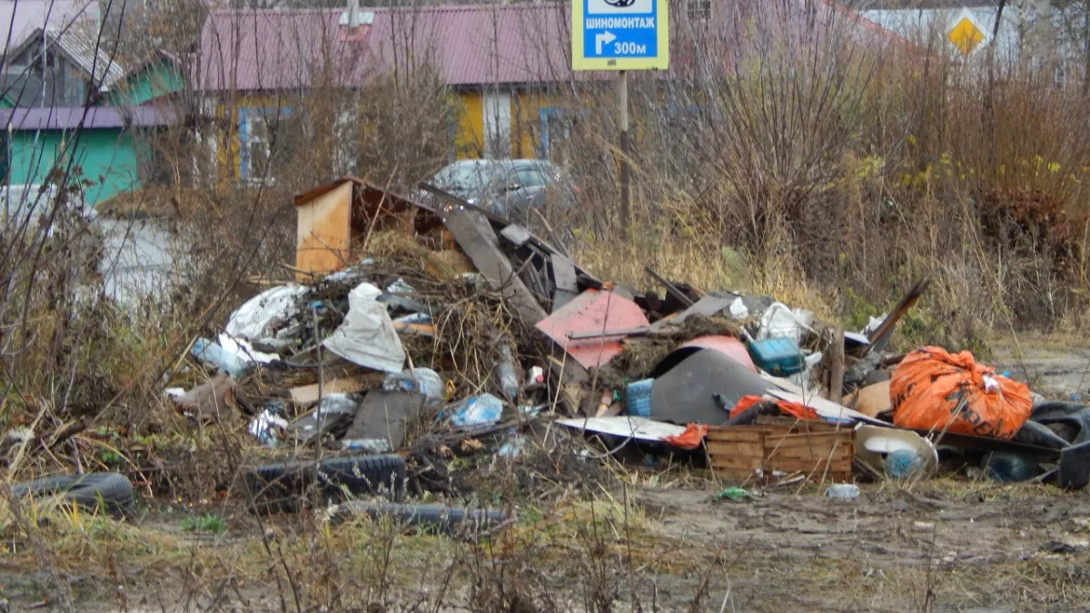 Жительница Владимирской области превратила свой земельный участок в свалку